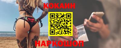 крисы Кулебаки