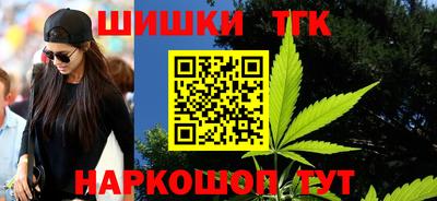 крисы Кулебаки