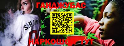 крисы Кулебаки