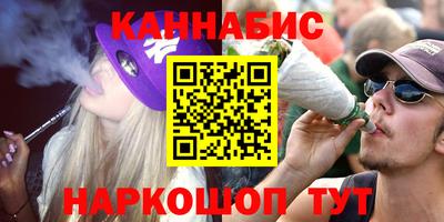 крисы Кулебаки