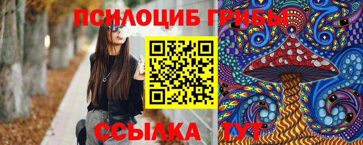 Кемерово  Псилоцибиновые грибы Psilocybine cubensis  Вход с VPN 