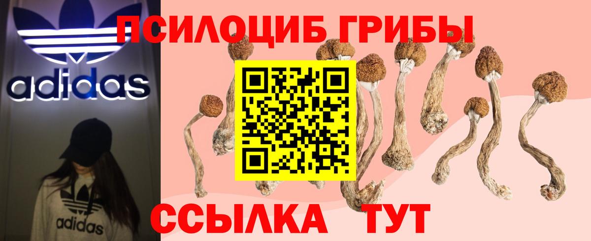 Псилоцибиновые грибы ЛСД Кемерово